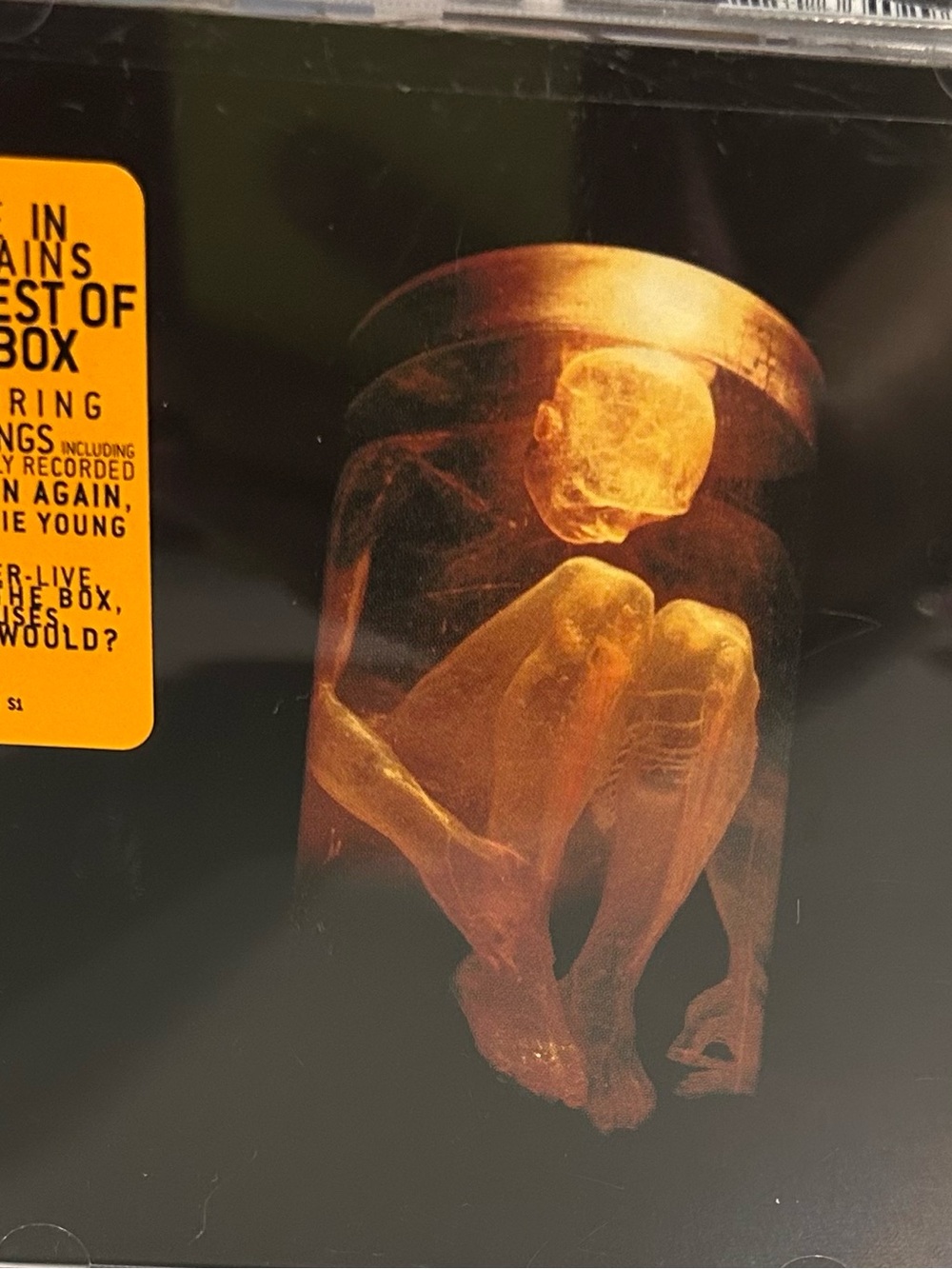 Alice In Chains CD